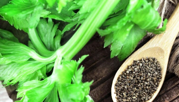 If you suffer from insomnia, use celery seeds at night