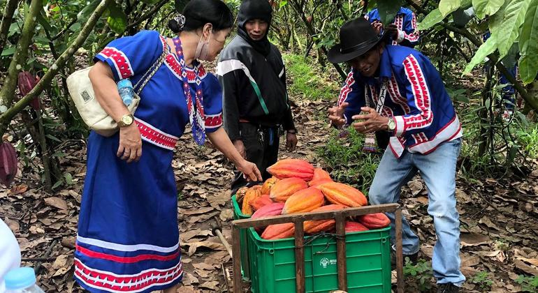 Philippines: Indigenous knowledge takes on climate crisis