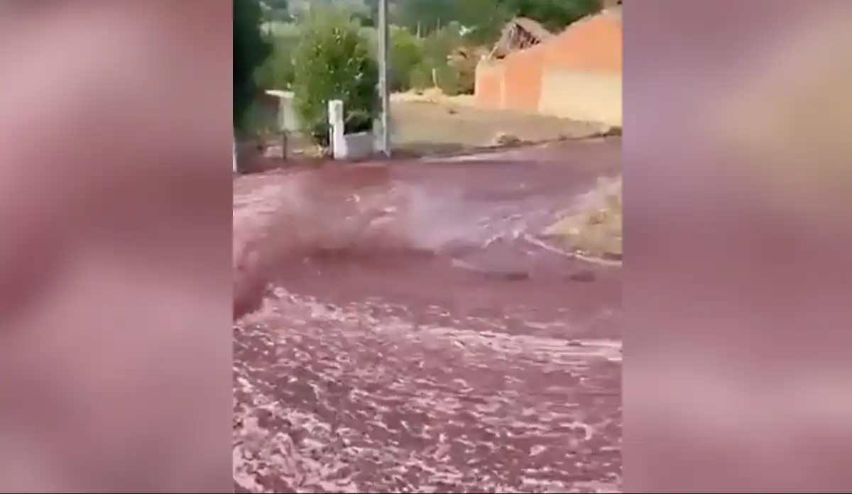 Portugal: More than 2 million liters of flowing wine turned into a flood