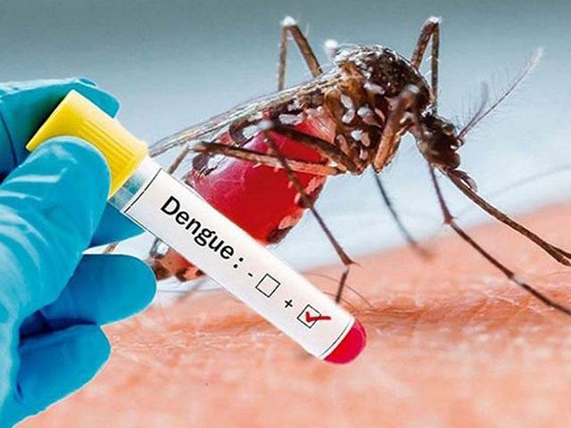 Predictions of climate change and dengue severity proved correct