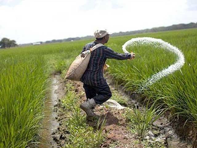 Punjab;  Preparation of special package for farmers