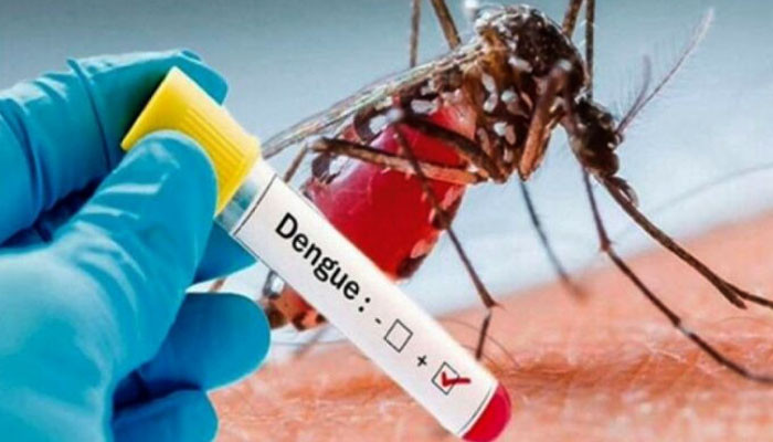 Punjab, dengue confirmed in 121 more patients