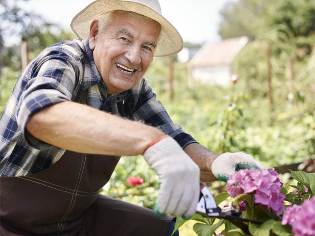 Reading books or gardening can protect against depression in later life, research