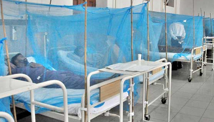 The condition of 9 people infected with dengue is critical