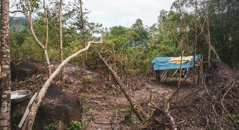 Viet Nam: UN rights office condemns crackdown on climate activists