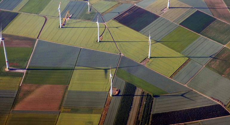 ‘Without renewables, there can be no future’: 5 ways to power the transition to renewable energy