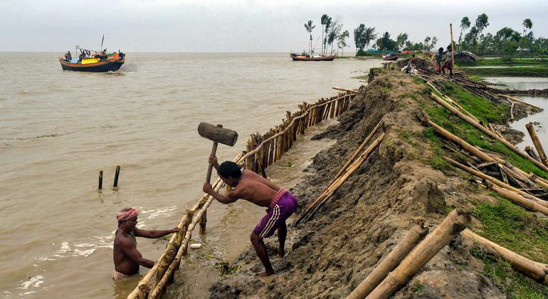 ‘World's breadbaskets’ are sinking, General Assembly chief warns