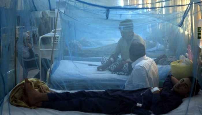 111 new dengue cases reported in 24 hours