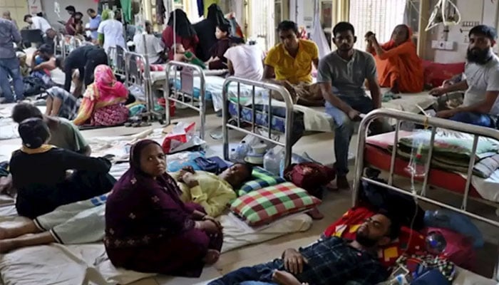 Dangerous increase in dengue patients, 1 thousand deaths —File photo