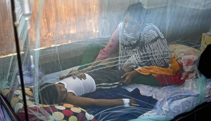 Bangladesh faces the worst dengue epidemic, 1006 people died File photo.