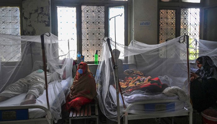 Punjab, dengue confirmed in 177 more patients ---File photo