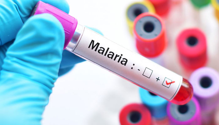 Another 10 people fell victim to malaria File photo