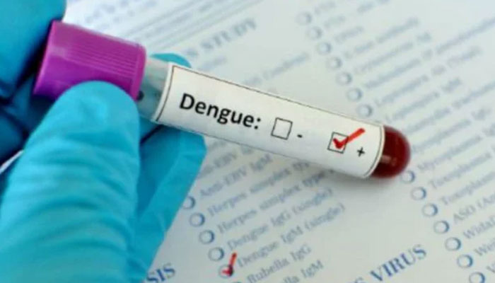 Another 176 people suffer from dengue File photo