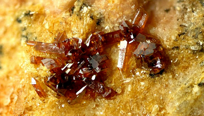 NRL got license to explore for minerals in Chagai