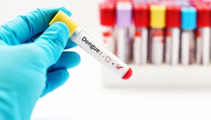 Another 158 people suffer from dengue —File photo