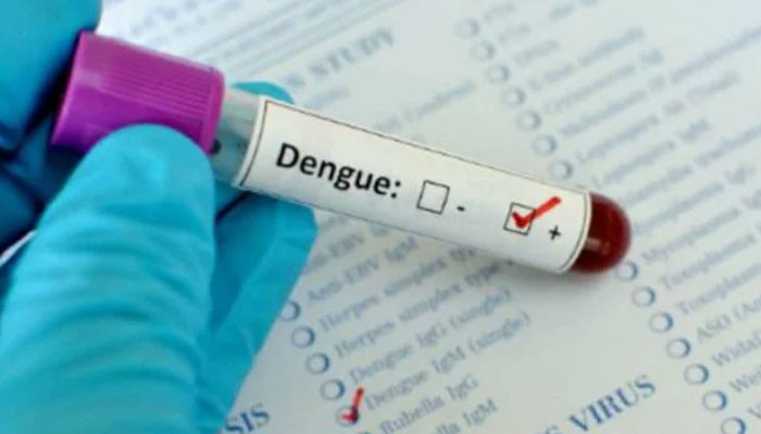 Another 176 people suffer from dengue