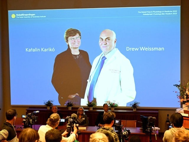 The Nobel Prize for Health was awarded to a female professor from Hungary and a male professor from the United States, Photo: Reuters