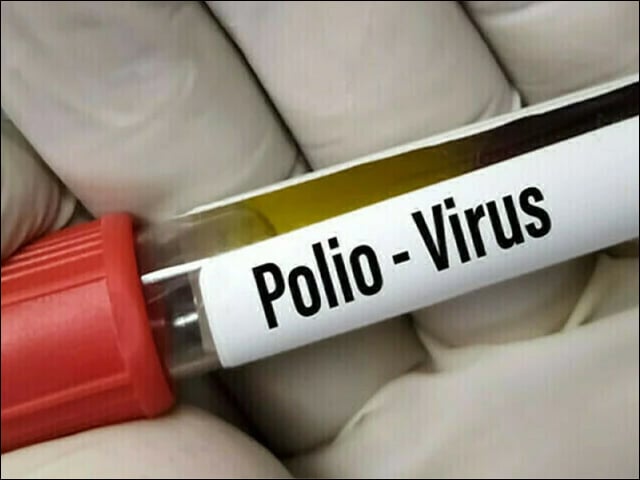 Peshawar's sewage samples were once again contaminated with polio virus