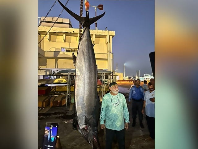 A new record of fish hunting has become in Pakistan —Photo: Express News