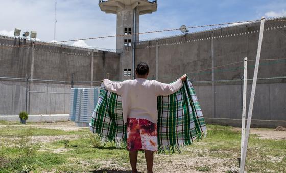 Arbitrary detention still widespread in Mexico, rights expert warns