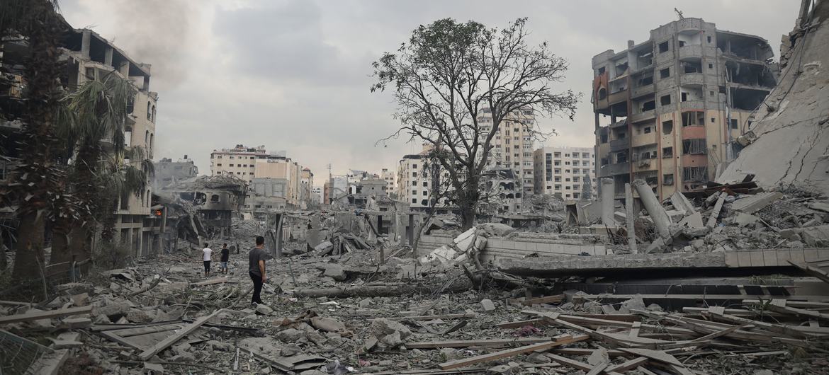 Amid relentless violence, families flee their shattered homes in Tal al-Hawa neighbourhood, seeking refuge in the southern Gaza Strip..