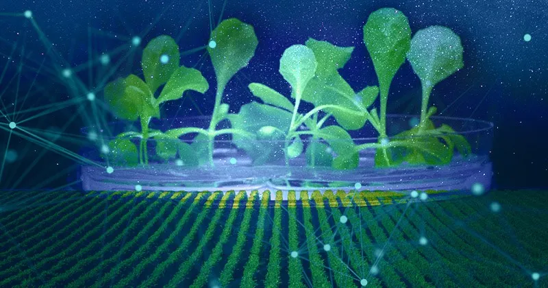 An alternative to solar panels, artificial photosynthesis method discovered