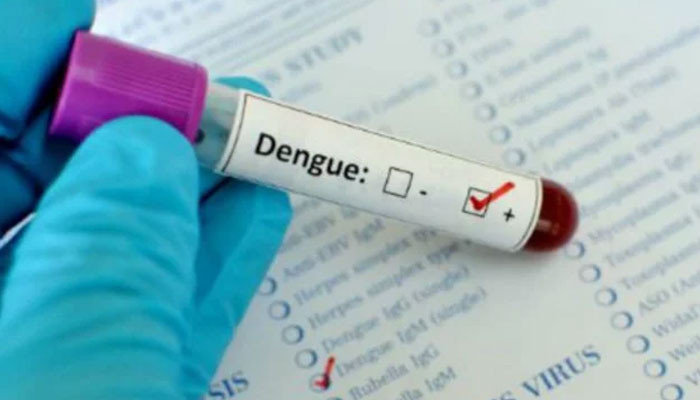 Another 176 people suffer from dengue