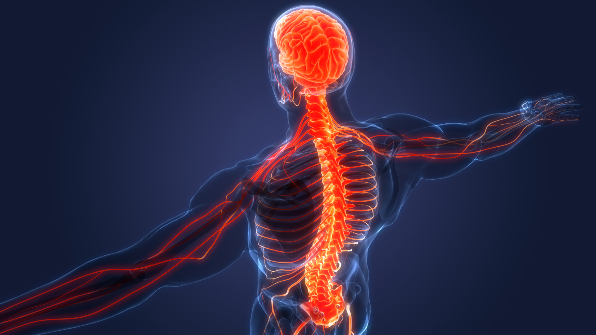 Because of the affected spinal cord, genetic therapy can restore movement