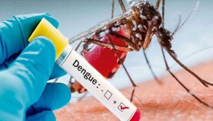 Confirmation of dengue in 203 new patients