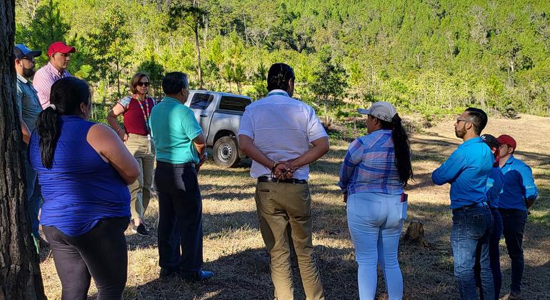 First Person: How youth and forests tackle Honduras’ water crisis