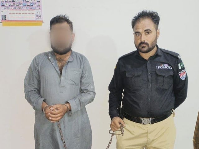 In Karachi, the accused killed his brother and sister-in-law due to a domestic grudge