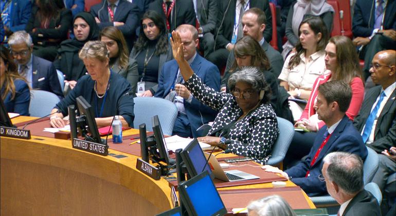 Israel-Gaza crisis: US vetoes Security Council resolution