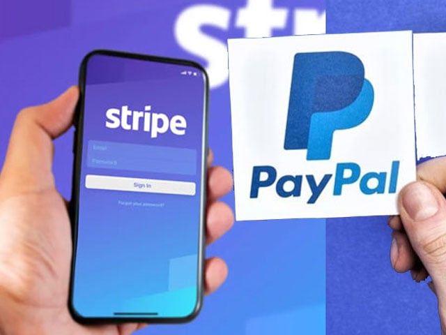 Major progress is expected in a month with respect to PayPal and Stripe, Federal IT Minister