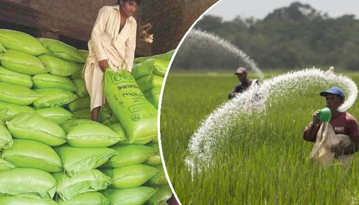 Preparing to import 2 lakh tonnes of fertilizer