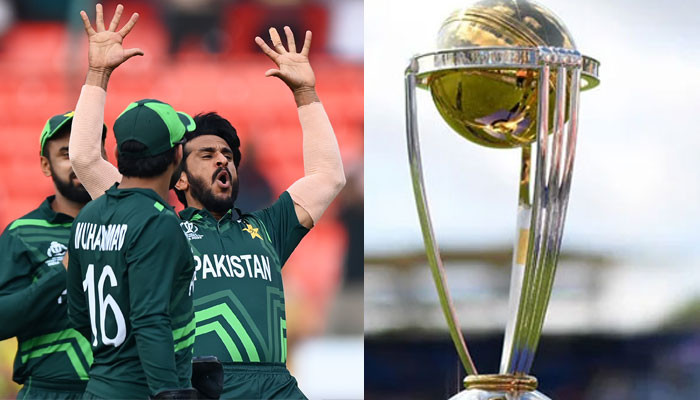 The final of the World Cup will be between Pakistan and India, survey