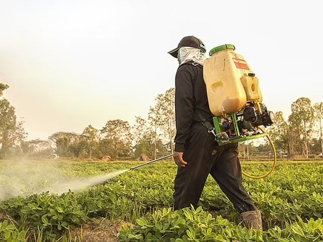 Two Chemicals Sprayed on Crops Are Affecting Children's Brainpower, US Research