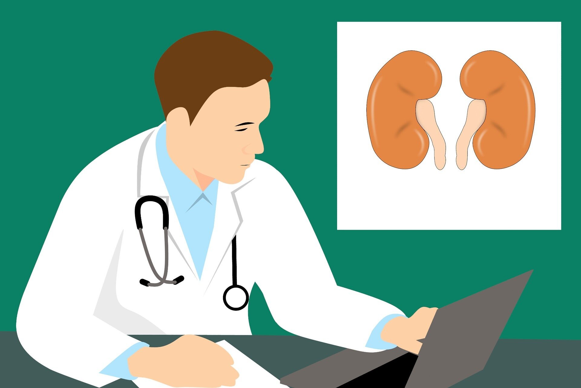 Weight control and fitness, ensuring healthy kidneys