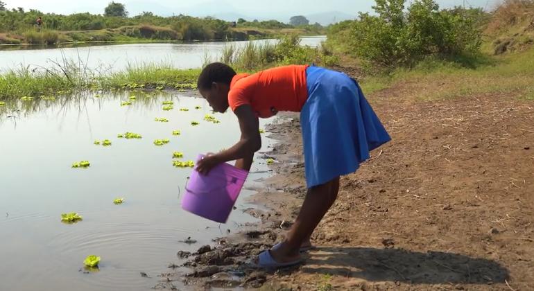 World News in Brief: Water ‘being taken for granted’, global teacher crisis, Nipah in India update