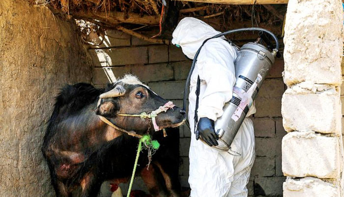 Federal Ministry of Health Advisory on Congo Virus Federal Ministry of Health Advisory on Congo Virus