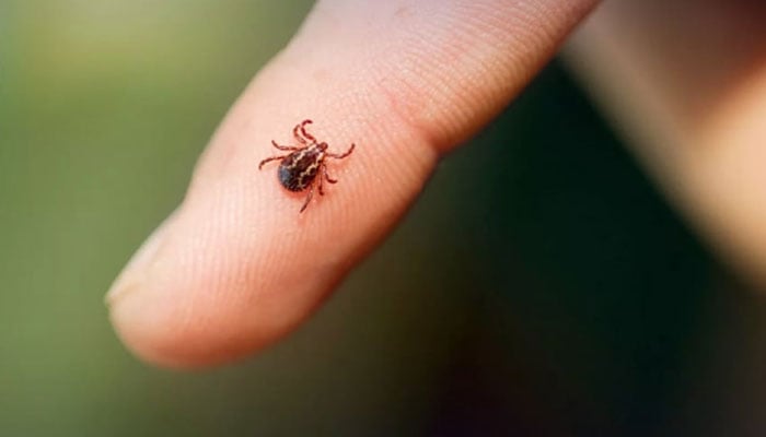 Another patient infected with Congo virus died According to the Health Department, a patient has died from Congo a week ago.