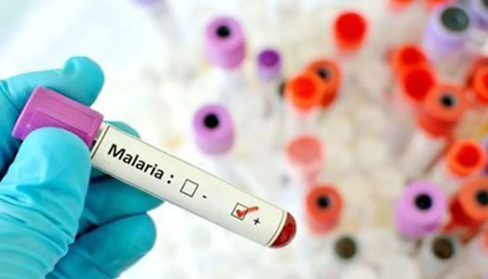 16 new cases of malaria reported ---File photo