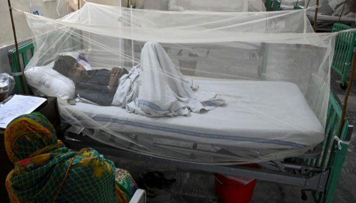 Dengue virus confirmed in 141 more people ----File photo