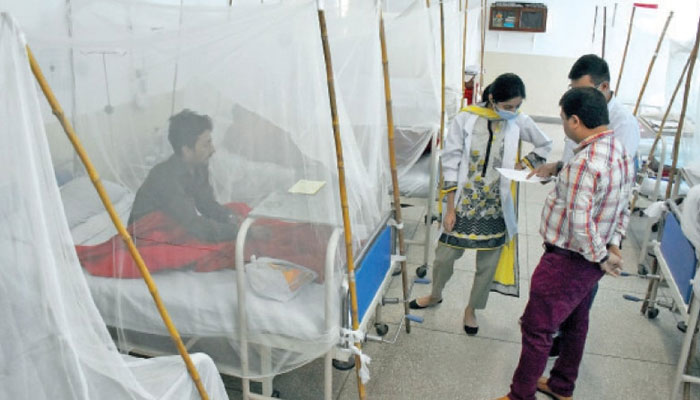 Confirmation of dengue in 78 new patients ---File photo