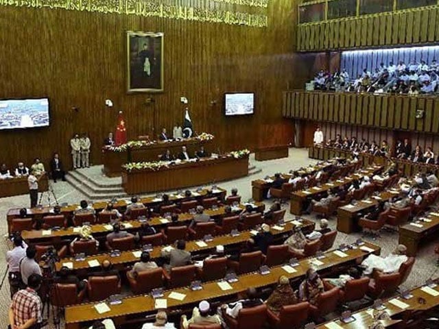 Senate meeting;  A resolution condemning the Israeli aggression in Palestine was passed