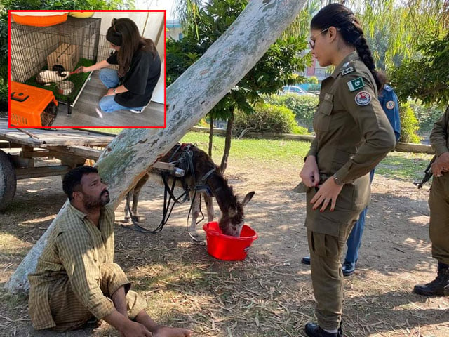 'Police Animal' Rescue Center established in Punjab for the protection of animals