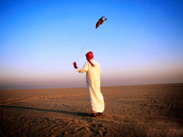 Bird hunting season in Sindh starts today, will end in March Hunters will only be able to hunt 10 pheasants and 15 pheasants per license, the Wildlife Department said. Photo: File
