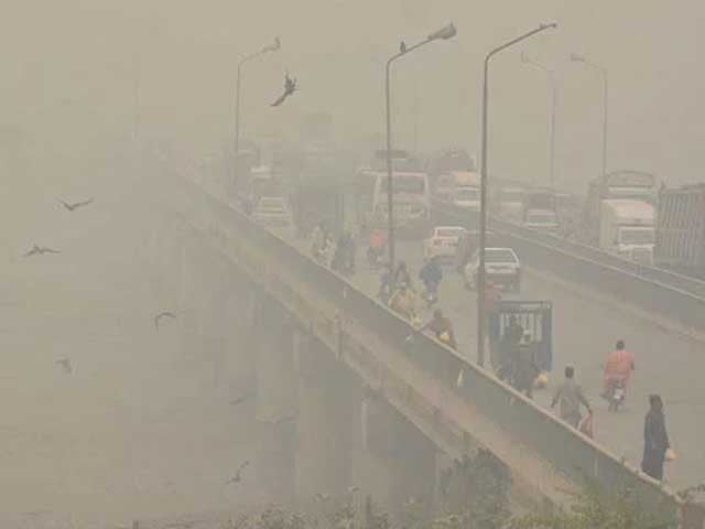 Punjab government's decision to write a letter to India to prevent smog Crop residue fires in India can be seen from Google Images.