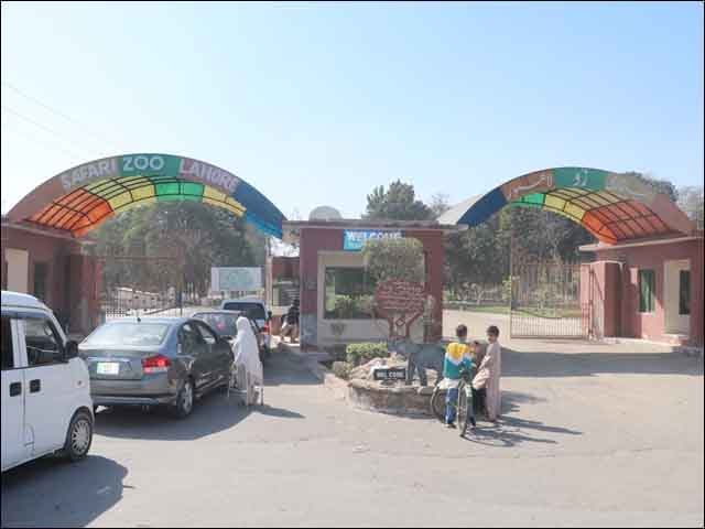 Lahore;  World Class Upgradation, Safari Zoo Decided To Close For 3 Months