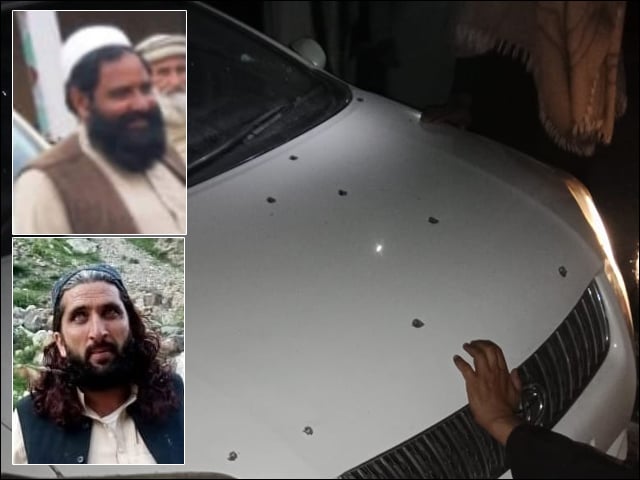 Aman Lashkar commander killed along with his nephew in Tirah Valley