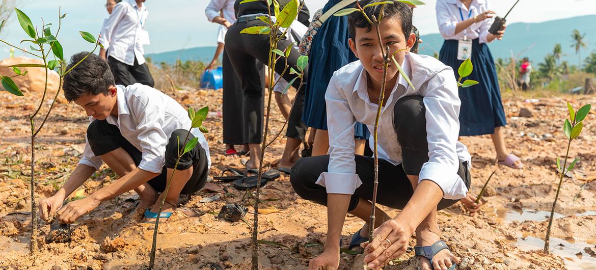 Explainer: What's COP28 and why is it important?